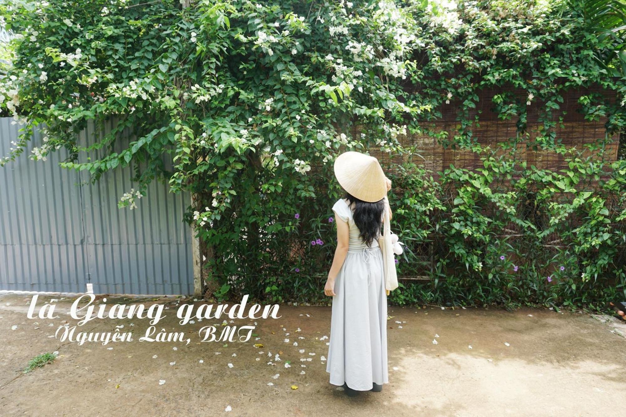 La Giang Garden Hotel บวนมาถวต ภายนอก รูปภาพ